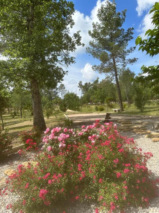 Superbe Villa Seillans La Grande Bastide Avec Piscine, Jardin, Climatisation Et Salle De Sport Exterior photo