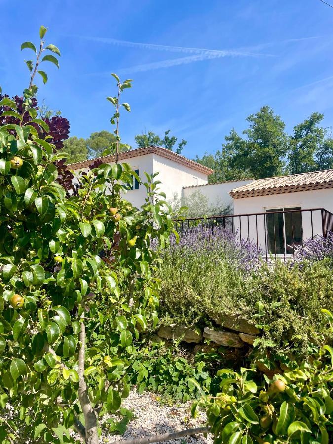 Superbe Villa Seillans La Grande Bastide Avec Piscine, Jardin, Climatisation Et Salle De Sport Exterior photo