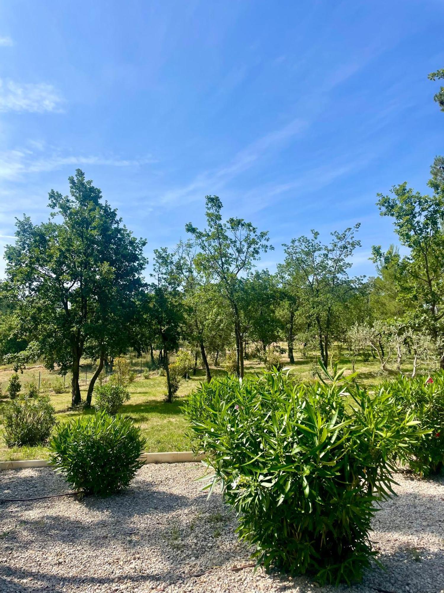 Superbe Villa Seillans La Grande Bastide Avec Piscine, Jardin, Climatisation Et Salle De Sport Exterior photo