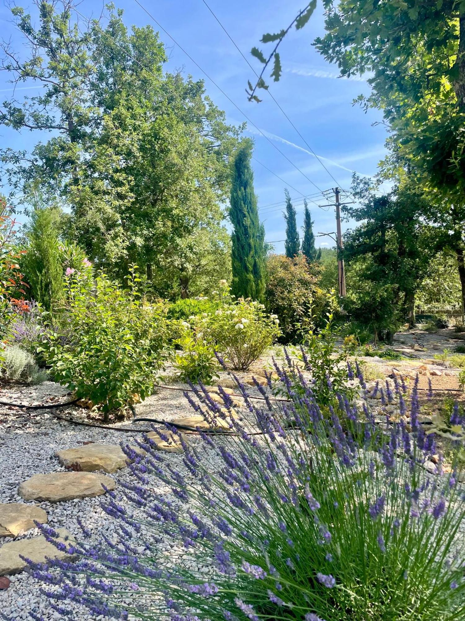 Superbe Villa Seillans La Grande Bastide Avec Piscine, Jardin, Climatisation Et Salle De Sport Exterior photo