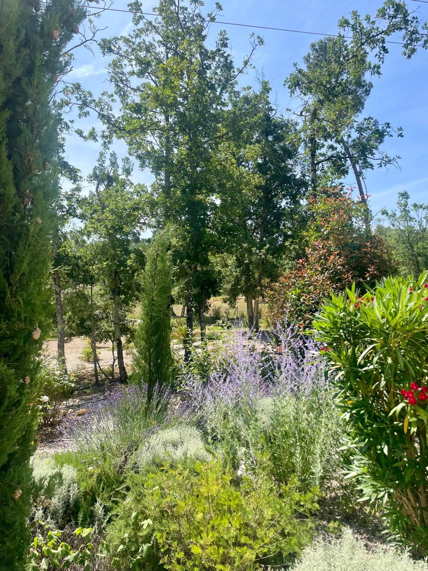 Superbe Villa Seillans La Grande Bastide Avec Piscine, Jardin, Climatisation Et Salle De Sport Exterior photo